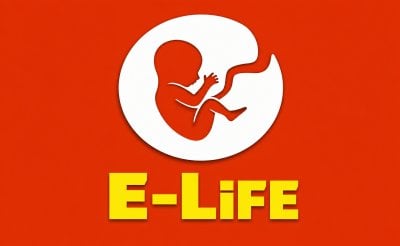 E-Life Simulator E-Life Simulator